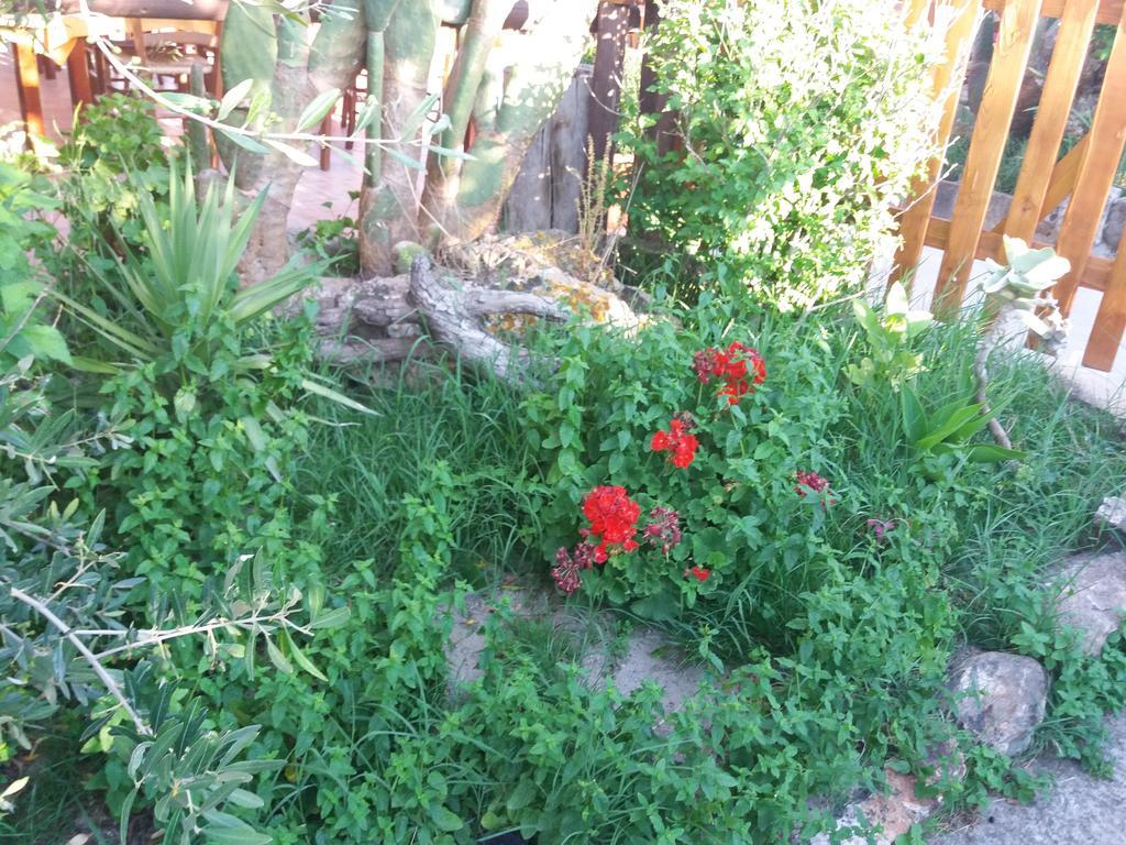 S'Arriali Ranch Iglesias Exterior foto